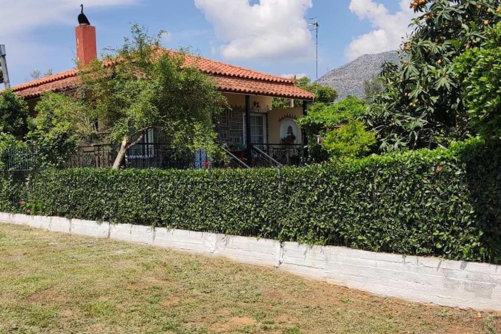 Eretria Vacation House Εξωτερικό φωτογραφία